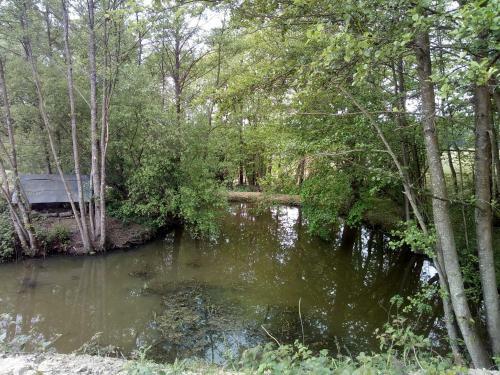 Cosy & Secluded Lakeside Fisherman's Hut