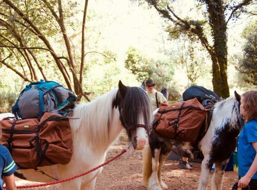 The Ancient Trails Company