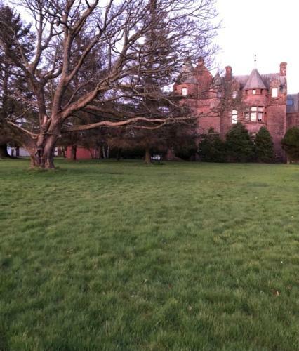 Specious Duchess Apartment