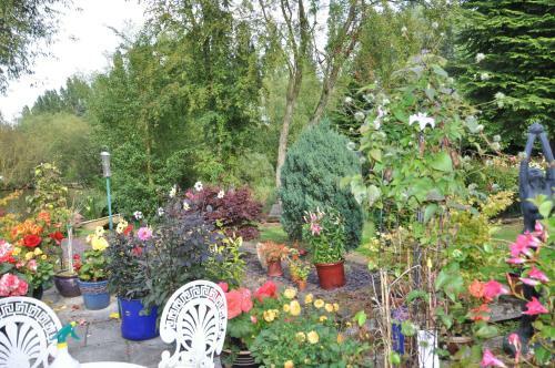 The Willows Bed & Breakfast