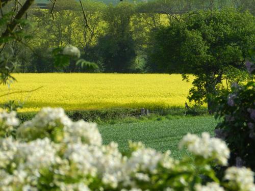 Comfy 1-bed Bell Tent With Great Views