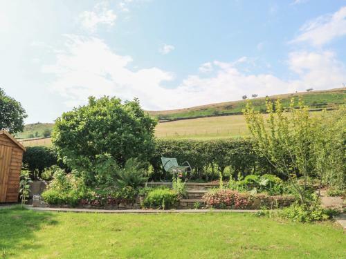 Ingledene