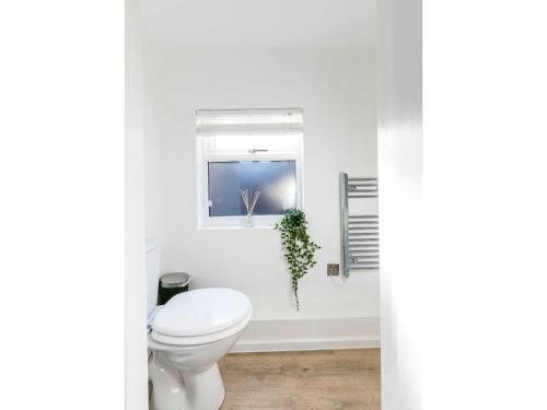 Apartamento Renovated 19th Century Barn W/ Free Parking