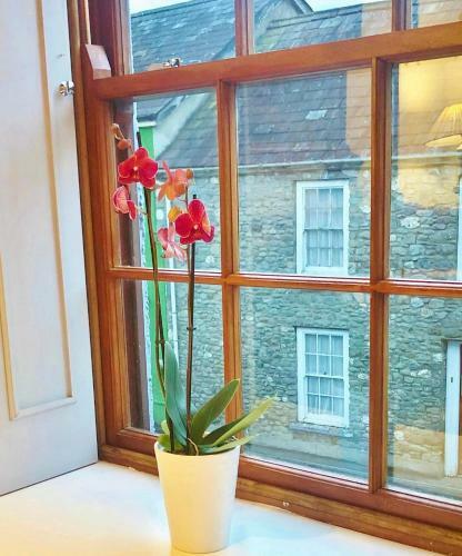 Apartamento Greys House - A Warm Welcome To The Brecon Beacons