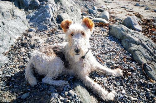 Apartamento Ocean House - Sea View