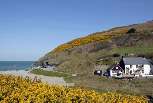 Cwm Bach