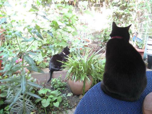 Holmewood Homestay
