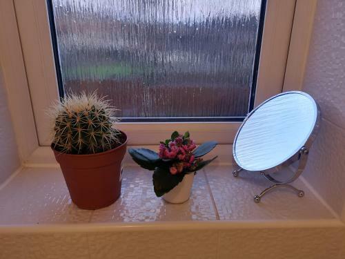 Apartamento Nightingale Gardens - 4 Bed Detached House - Manchester