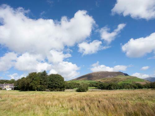 17 Victoria Terrace - Perthi