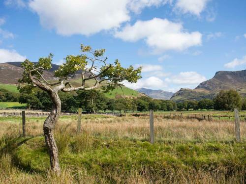 17 Victoria Terrace - Perthi