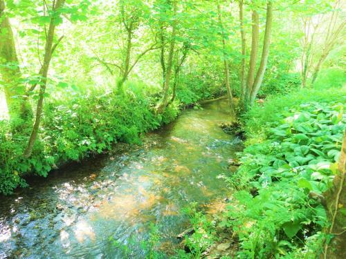The Wriggly Tin At Tregoose Old Mill