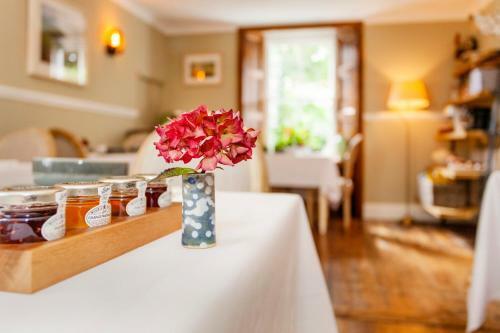 Bed & Breakfast The Summer House