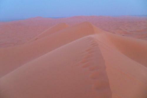 Bed & Breakfast Kasbah Tamariste