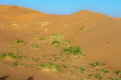Bed & Breakfast Kasbah Tamariste