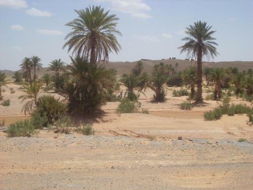 Hotel Kasbah H�tel Erg Chebbi