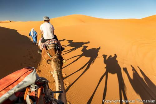 Bed & Breakfast Maison Merzouga Guest House