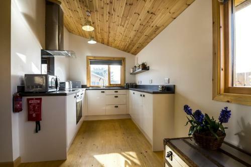 Villa Laurel Lodge - 2 Bedroom Log Cabin - St Florence