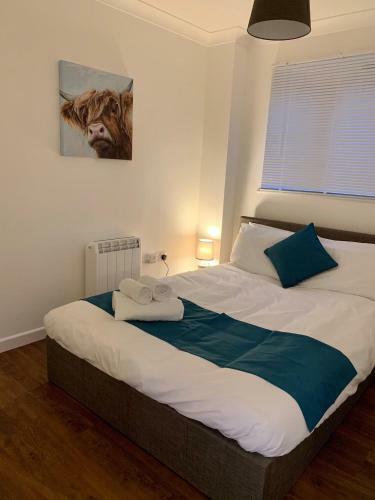 Lower Highview - Self Catering Apartment, Fpventures Stroud