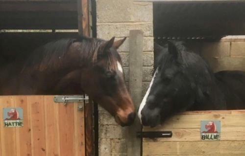 Bed & Breakfast The Star Inn