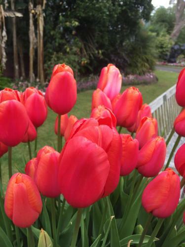 Wynberg House A Bed & Breakfast