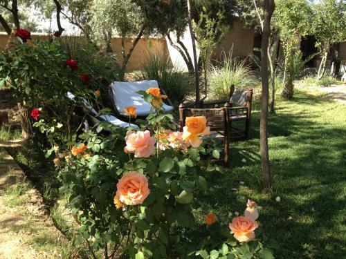 Bed & Breakfast Les Jardins De Skoura