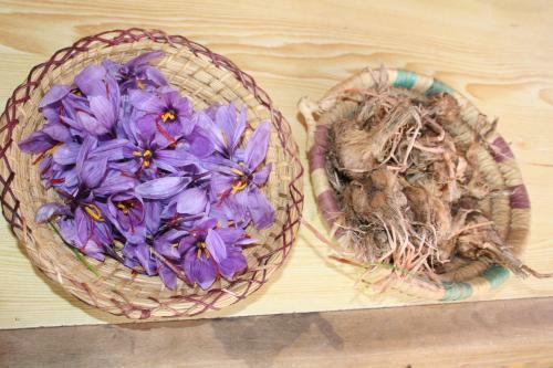 Bed & Breakfast Auberge Restaurant Le Safran