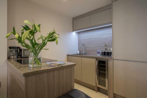 Apartamento Chocolets - The Lion Suite
