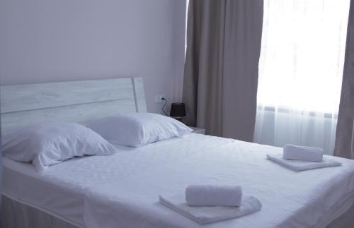 Hotel Caucasus