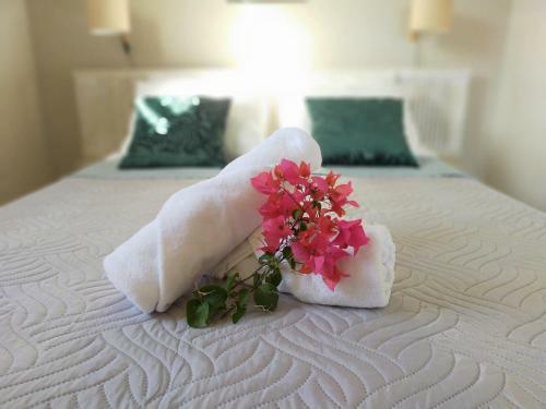 Hotel Ti Village Creole