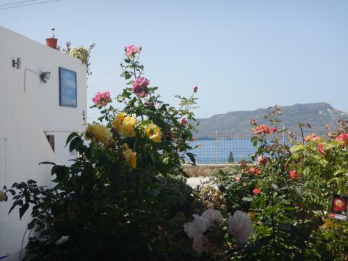 Bed & Breakfast Christos Rooms Milos