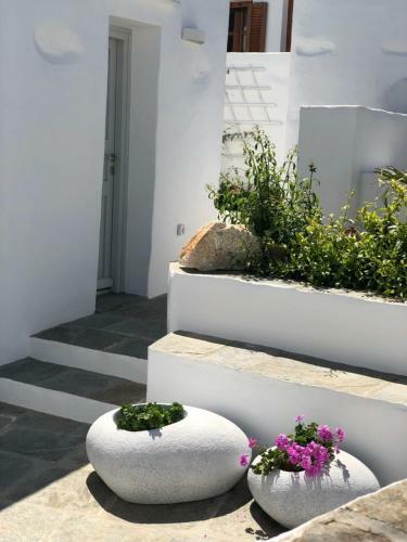 Apartamento Apollonion House