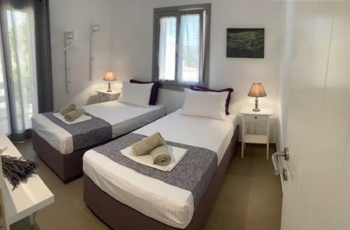 Apartamento Levanda Guest Houses