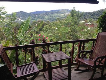 D'villa Rina Ria Lodge