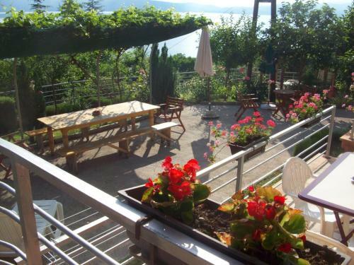 Apartamentos Vila Anastas
