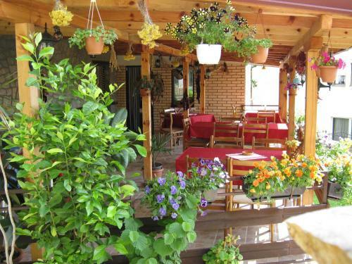 Hostal Risto's Guest House