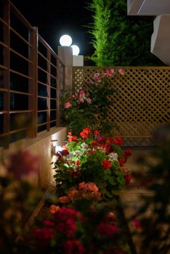 Apartamento Artemissoula Wooden