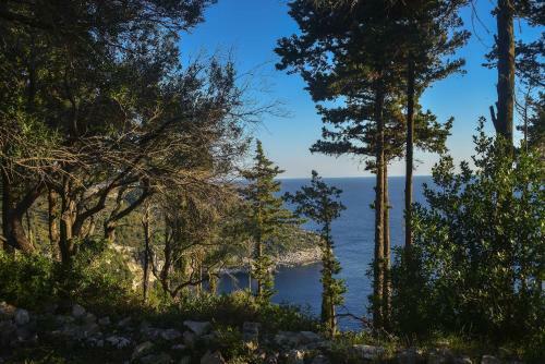 Ahai Paxos Villa