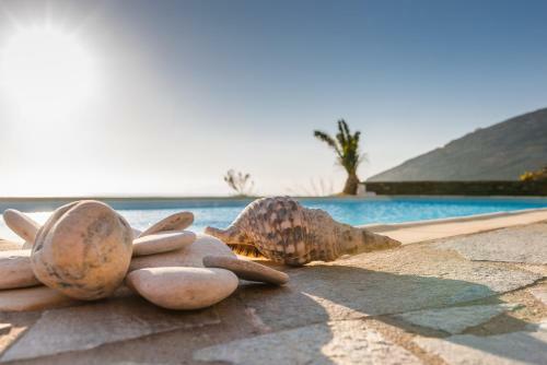 Mileia Villa Tinos