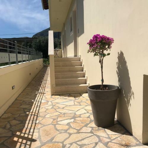 Apartamento The Little Prince Luxury Suites