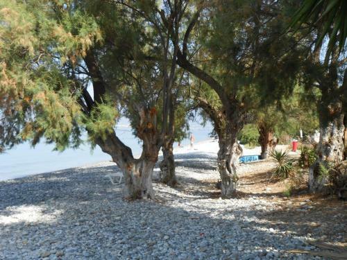 Apartamento Horizon Aktaion