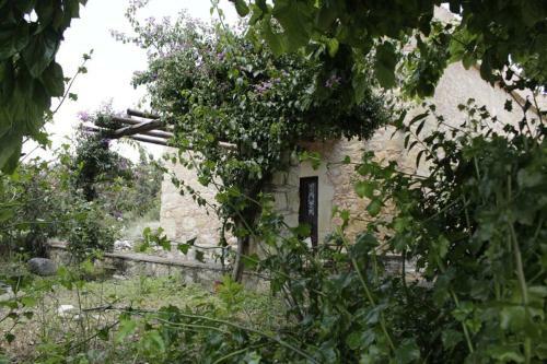 Theano Traditional House Mountain And Field View