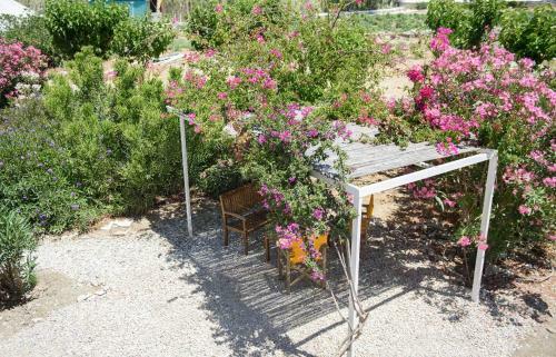 Apartamento Porto Katapola Pension
