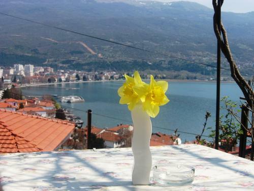 Bed & Breakfast Villa Saraj
