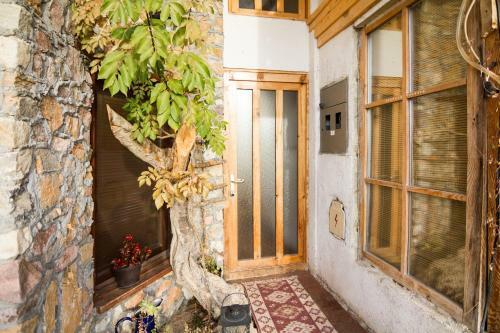 Hostal Robinson Sunset Guest House