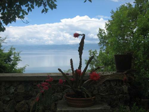 Hostal Robinson Sunset Guest House