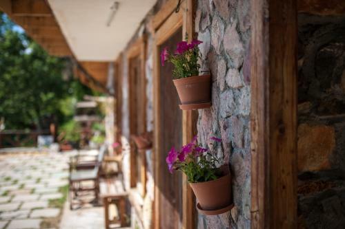 Hostal Robinson Sunset Guest House