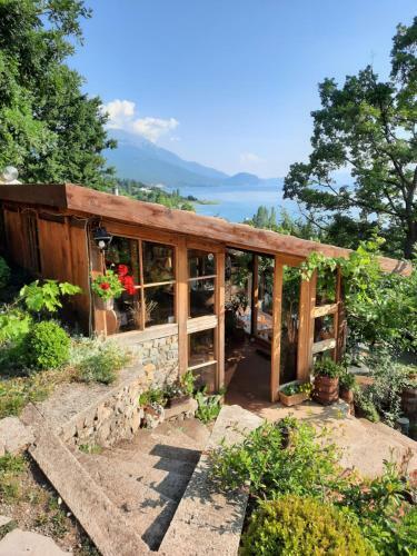 Hostal Robinson Sunset Guest House