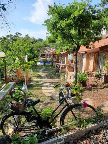 Hostal Robinson Sunset Guest House