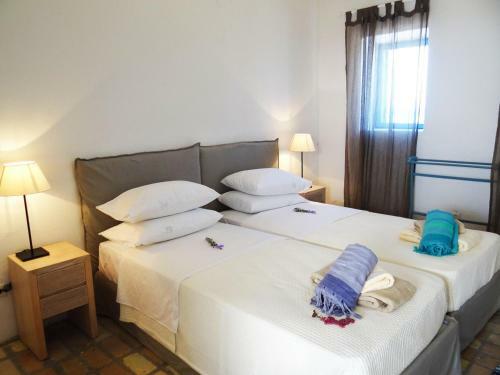 Chlomos Villa Sleeps 16 With Pool And Wifi
