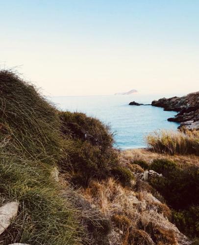 Helichrysum Kythnos
